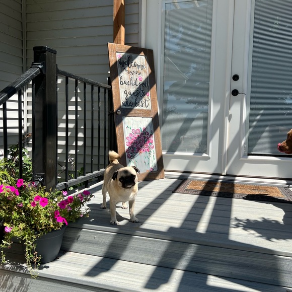 Meet your Posher, Andrea jameson - Picture 9 of 16